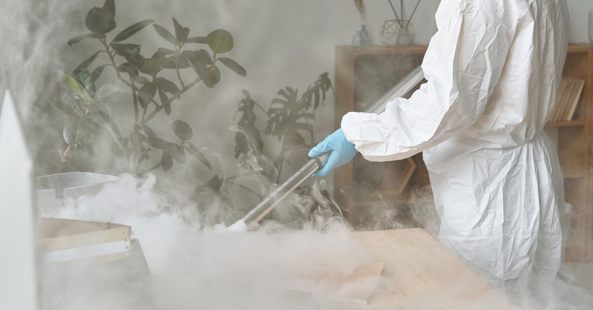 Effectiveness and Safety: Eco-Friendly Cleaners versus Conventional Options