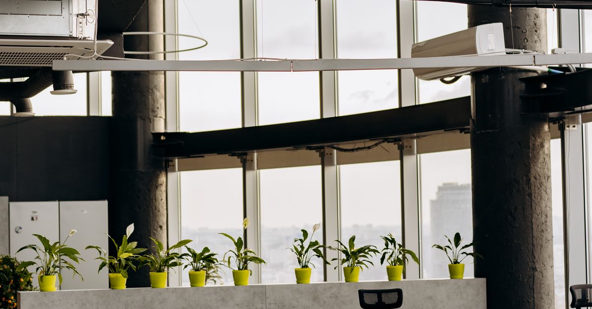 Enhancing Workplace Productivity Through Regular Cleaning Routines