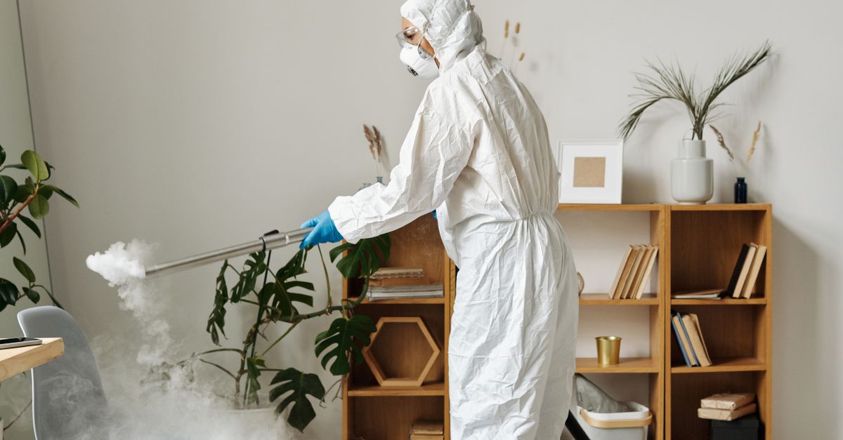 Factors to Consider When Looking for Sustainable Cleaning Services